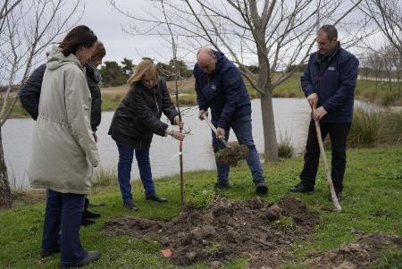 Imagen La Diputación de Segovia celebra el Día del Árbol con la plantación de una treintena de ejemplares en Martín Muñoz de las Posadas